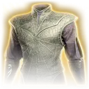 Poisoner's Robe icon
