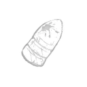 Jaw Smasher  icon