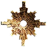 Scaverim icon