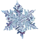 Snowim icon