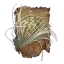 Pest Threads