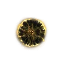 Shadow Realm Rune [5]