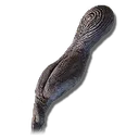 Gazing Finger