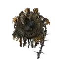 Shadow Sunflower