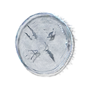 Jellyfish Shield