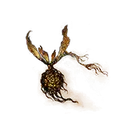 Winter-Lantern Fly