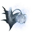 Great Ghost Glovewort