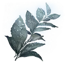 Dewkissed Herba