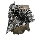 Scouring Black Flame