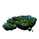 Crystal Cave Moss