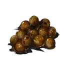 Crab Eggs