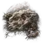 Fly Mold