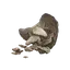 Human Bone Shard