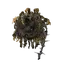 Shadow Sunflower