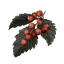 Rowa Fruit