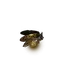 Gold Firefly