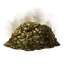 Gold-Tinged Excrement