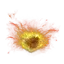 Surging Frenzied Flame