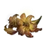 Erdleaf Flower