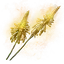 Altus Bloom