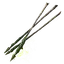 Poisonbone Arrow