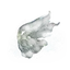 Nascent Butterfly
