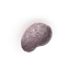 Fingerprint Nostrum