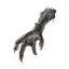 Four-Toed Fowl Foot