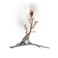 Sacramental Bud