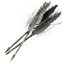 Stormwing Bone Arrow