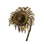 Tarnished Golden Sunflower