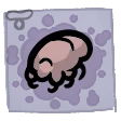 Scabies icon