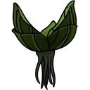 Nuphar icon
